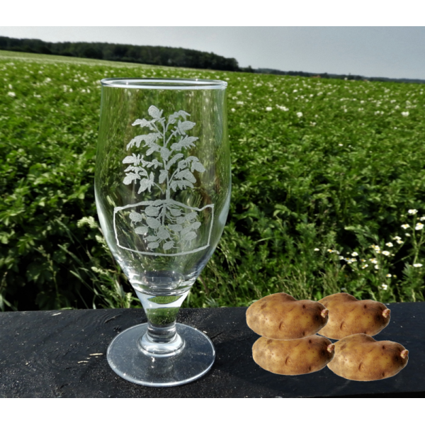 Drikkeglas med kartoffelplante