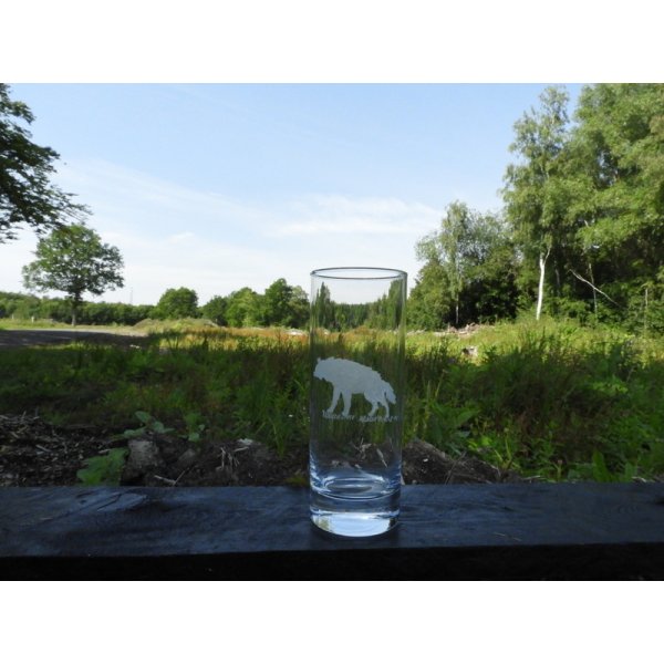 Afrikas vilde dyr på glas