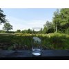 Afrikas vilde dyr på glas