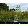 Glas med Stedmoder motiv