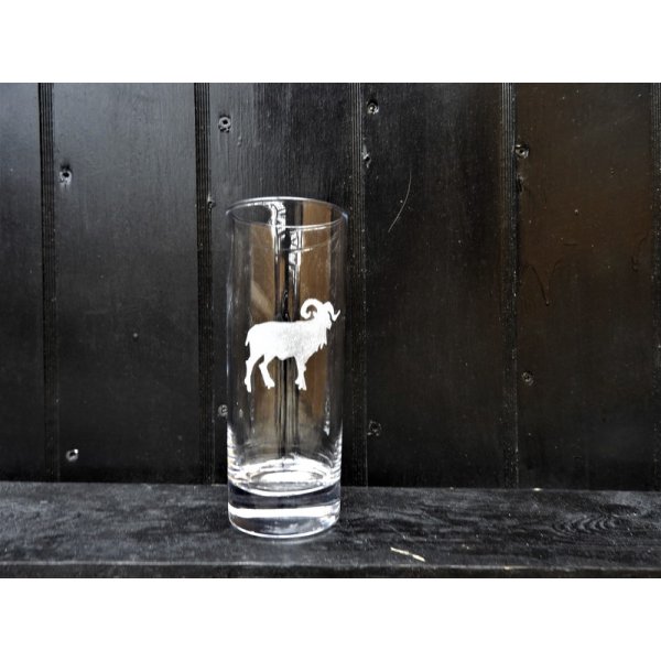 glas med stenbukken.
