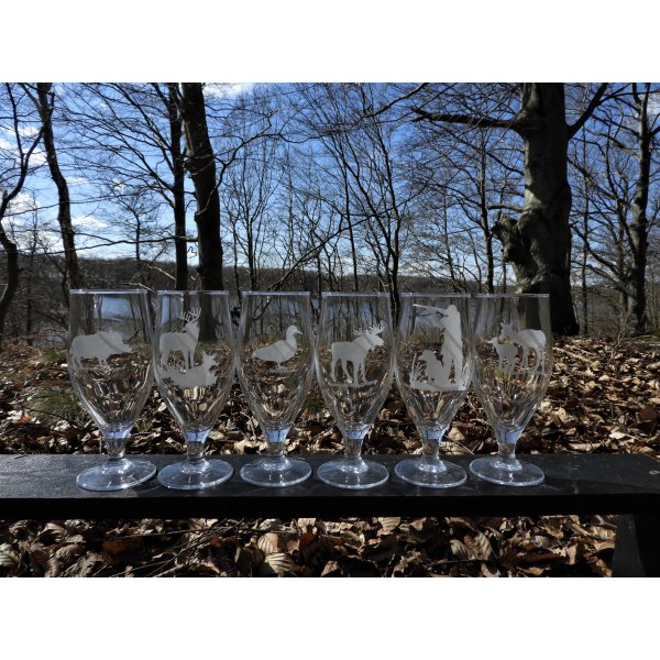 6 Jagtglas
