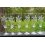 6 champagneglas med blomstermotiv